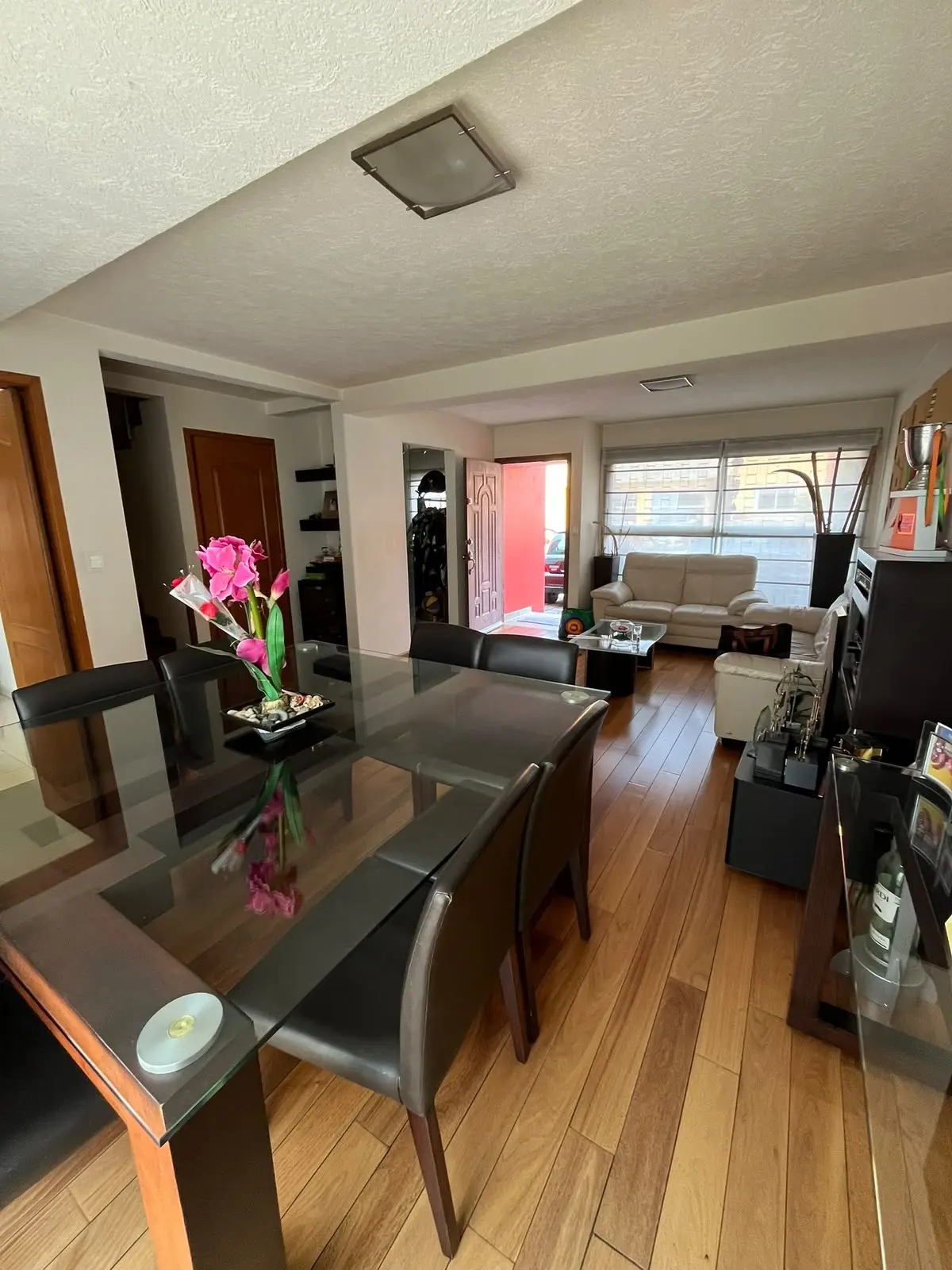 Sala y comedor